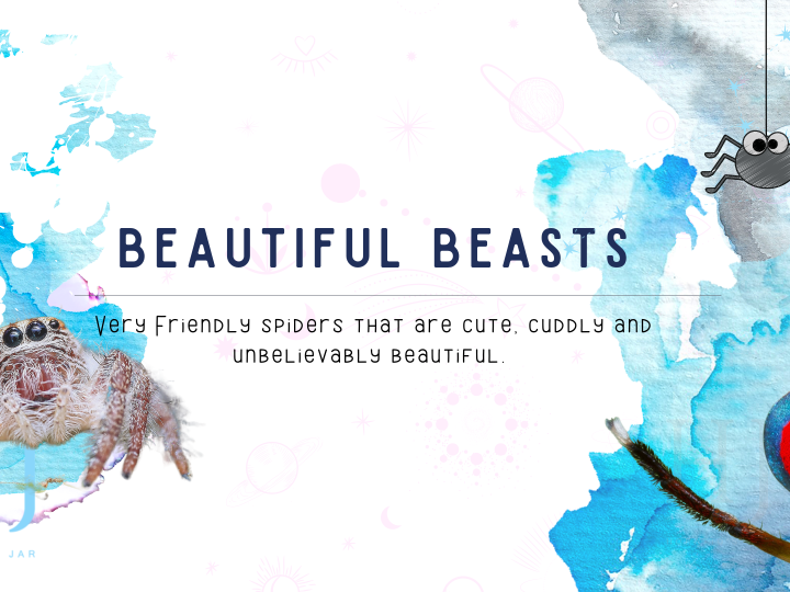 2022-Beautiful-Beasts-Banner-1.png